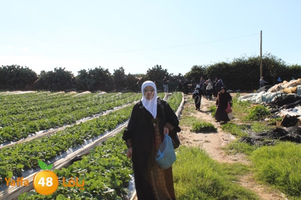 re7la tolkarem (82).JPG